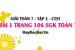 Giải bài 1 trang 106 Toán 7 Tập 1 SGK Chân trời sáng tạo